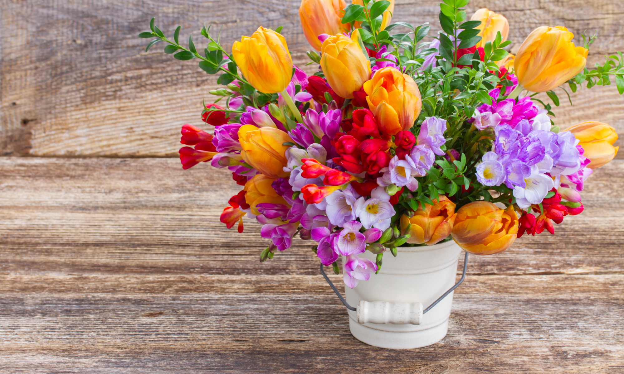 2026-MDG-ZOOM-Boxed-Participate-1