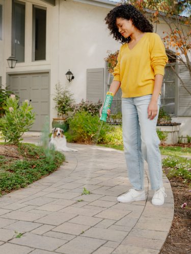 2026 HOME PP 20251021_Spruce_LP4436 (1)