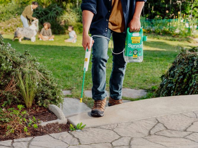 2026 HOME PP 20251021_Spruce_LP4674