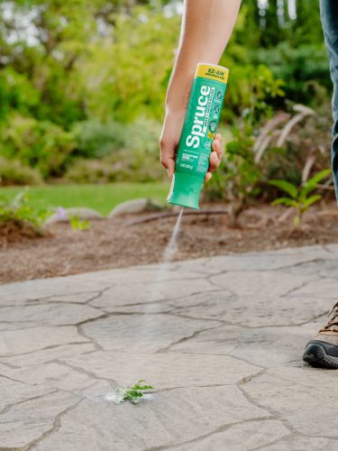 2026 HOME PP 20251021_Spruce_LP4756