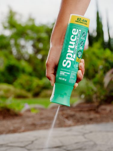 2026 HOME PP 20251021_Spruce_LP4757