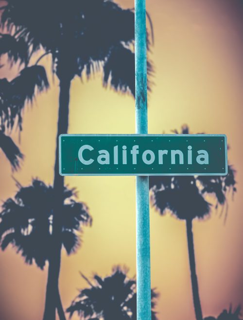 California Street Sign Against Retro Style Golden Palm Trees
